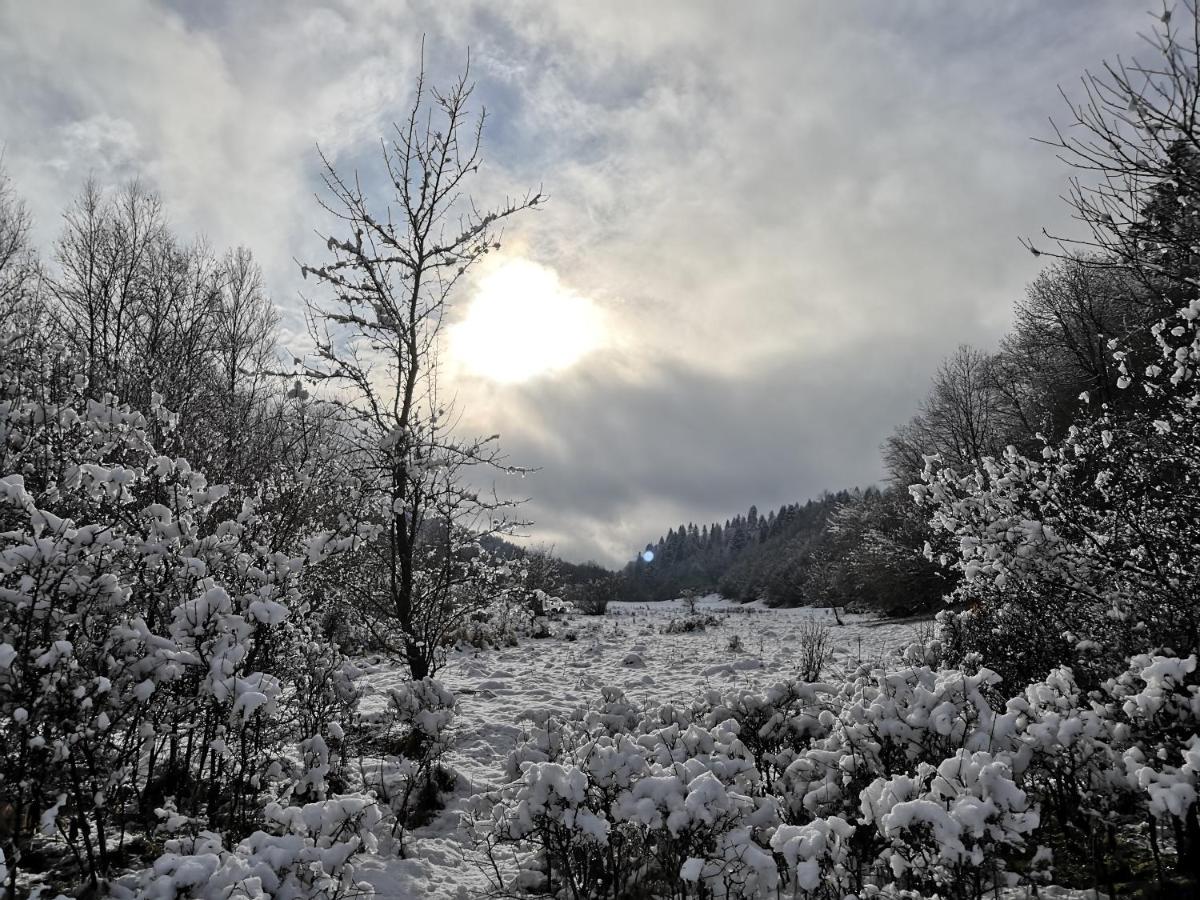 Lodge Dobre Miejsce *